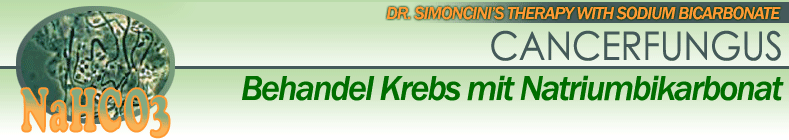 krebs pilz