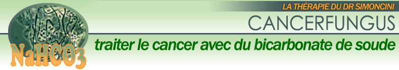 dr simoncini cancer therapie